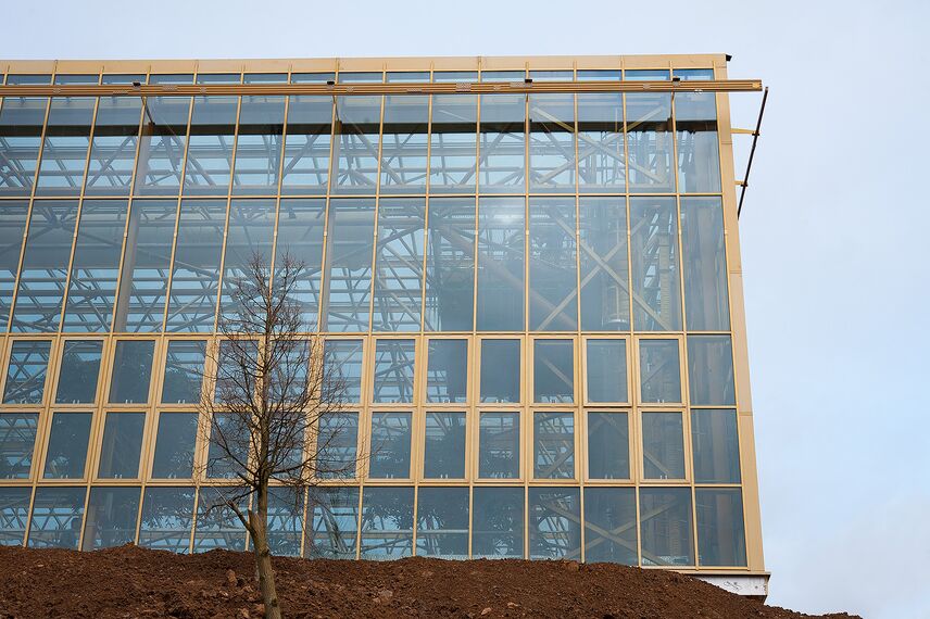 ConceptWall 50 Vliesgevels, ConceptSystem 77 Ramen, ConceptSystem 77 HI Ramen en ConceptWall 50-HI Vliesgevels - Edenya in Pairi Daiza, de grootste tropische kas ter wereld gelegen in Brugelette, België