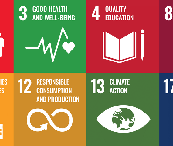 United Nations Sustainable Development Goals.