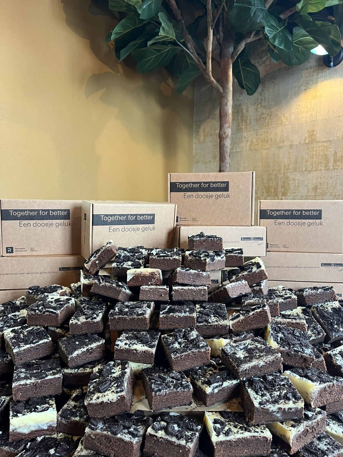 Brownies van Brownies&downieS Veghel