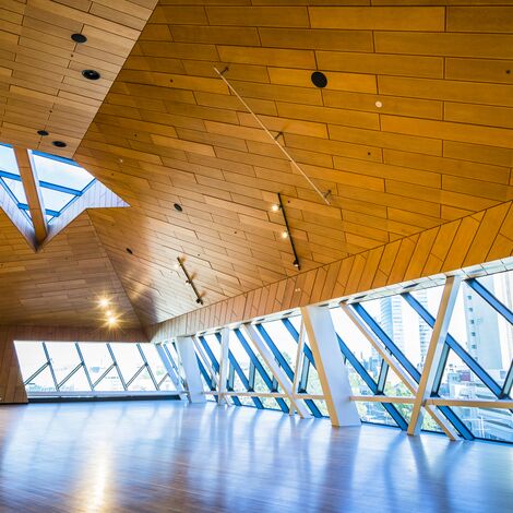 ConceptWall 50 Structureel geklemd Vliesgevels - Entertainment Perth Arena gelegen in Perth, Australië