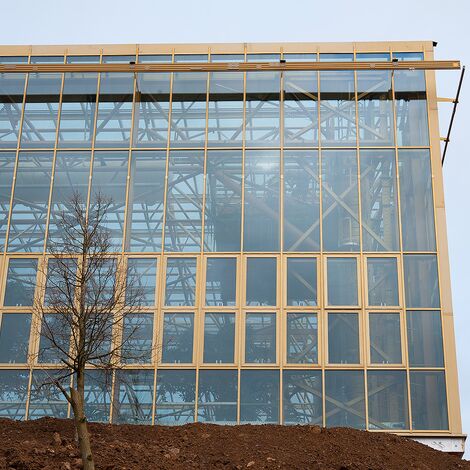 ConceptWall 50 Vliesgevels, ConceptSystem 77 Ramen, ConceptSystem 77 HI Ramen en ConceptWall 50-HI Vliesgevels - Edenya in Pairi Daiza, de grootste tropische kas ter wereld gelegen in Brugelette, België