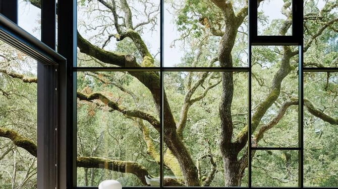 Interior view of The Giving Tree private project. A modern table is set in front of big glass surfaces.